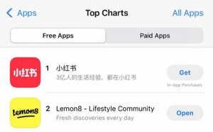 中國詐團日本招募「暗黑打工」 盜刷信用卡牟利  逾3萬筆個資外洩