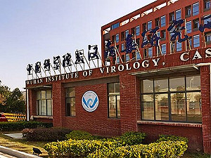 武漢實驗室發現「新型冠狀病毒」、具跨物種傳播能力！ 專家：流行風險暫低