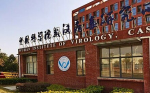 武漢實驗室發現「新型冠狀病毒」、具跨物種傳播能力！ 專家：流行風險暫低