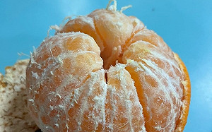 橘子白絲別再剝掉！減重醫曝：內含「川陳皮素」可活化燃脂酵素