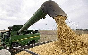 中國對美進口黃豆連兩個月掛零  巴西黃豆占比逾七成