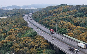 懶人包》連假出遊怕塞車？國道「好走時段」一次掌握