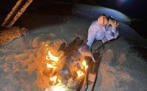 今年首例「非洲豬瘟」現蹤金門！海灘豬屍驗出中國基因型毒株