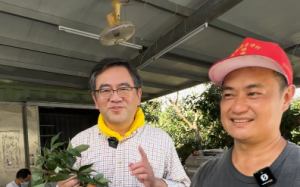 減產更需加強宣傳！「霧農大叔」教如何吃荔枝不上火 瀏覽人次3天破200萬