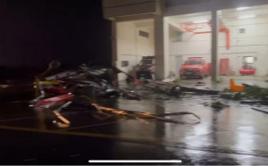 丹娜絲釀多地災情！消防局周圍路樹倒塌 消防員傻眼：自己成受災戶 