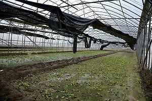 薔琵颱風農損破2.2億！雲林最慘 9縣市納現金救助