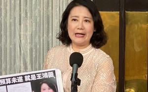 柯建銘用刑法100條辦藍委 吳思瑤連說3次Never：不走回頭路　