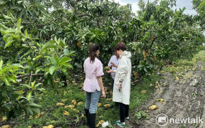 陳亭妃籲比照蘇迪勒颱風模式  丹娜絲颱風農漁災復貸款應第一年免息