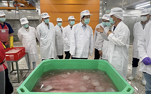 美國關稅衝擊鬼頭刀漁業出口  賴清德：確實解決漁民問題
