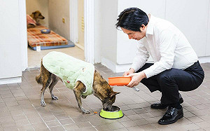 國際狗狗日  賴清德秀「斑斑」照：打造台灣成為動物友善國家