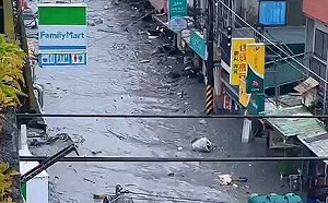 楊宏基觀點》花蓮馬太鞍溪堰塞湖溢流釀災：國土防衛韌性成空話