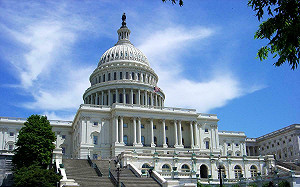 美期中選舉》參議院共和黨有優勢　眾議院競爭激烈