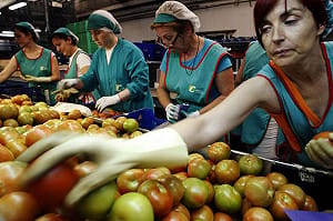 大腸桿菌蔓延 歐洲：禁止進口西班牙蔬果