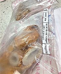 北市驗出 5家黑輪含順丁烯二酸