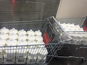 你支持「秒買秒退」滅頂行動嗎？線上PK