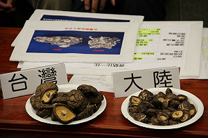 走私中國香菇氾濫 本土菇農難生存