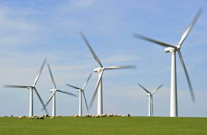 美研究：風力電廠可能加速氣候暖化