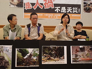 雙北路樹不堪風吹   環團批人禍兼圖利