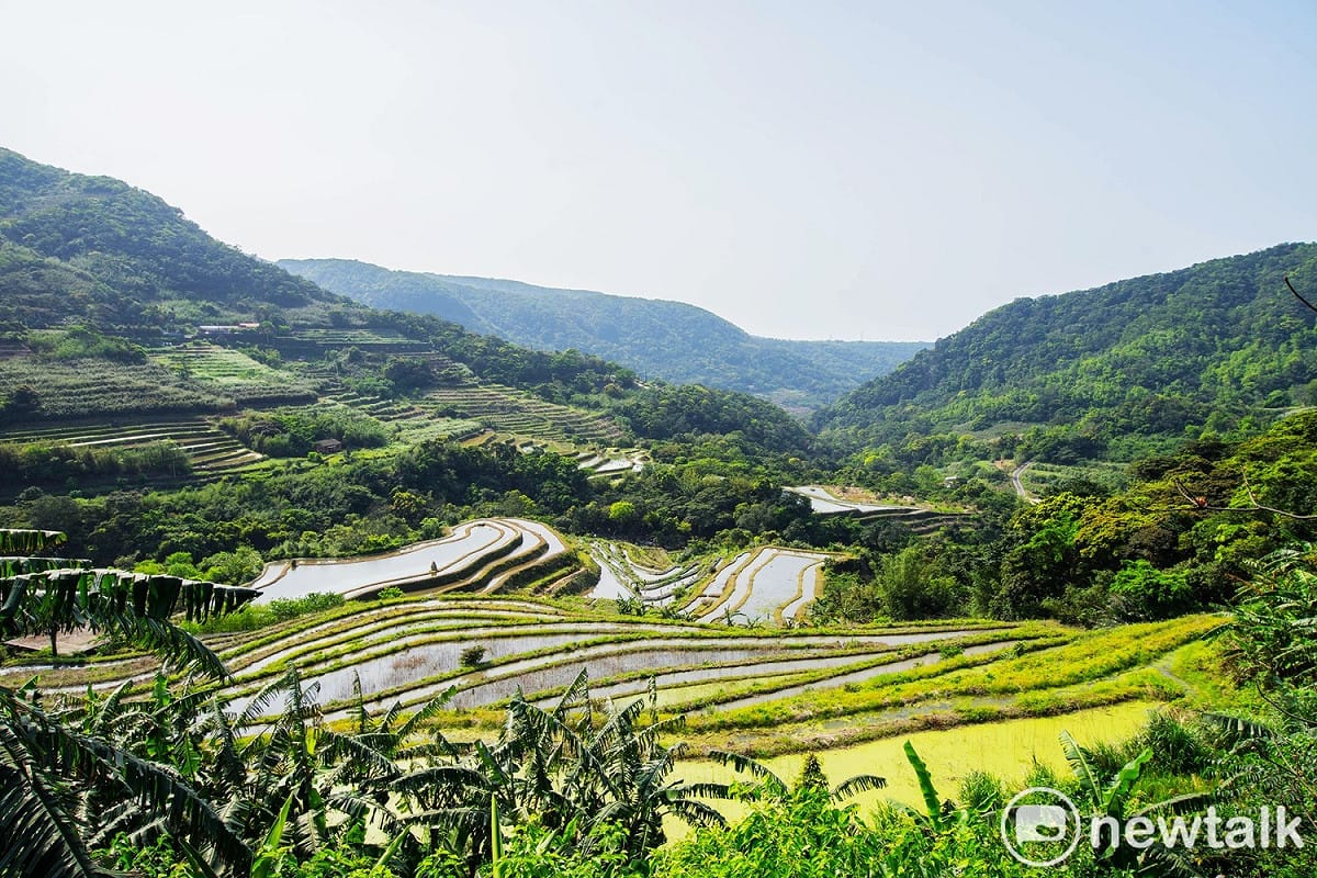 攝影愛好者王鵬程鏡頭下的新北市石門嵩山社區百年梯田美景 圖：王鵬程/提供