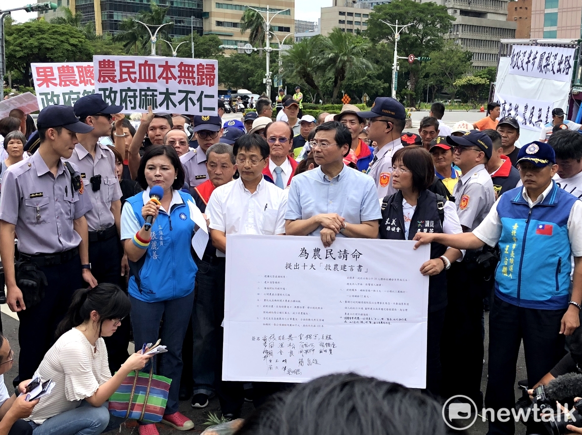 國民黨立委張麗善帶頭在行政院門口替鳳梨農請命，向政院提出十大救農建言書。 圖：張元誠、聶良恩/ 攝