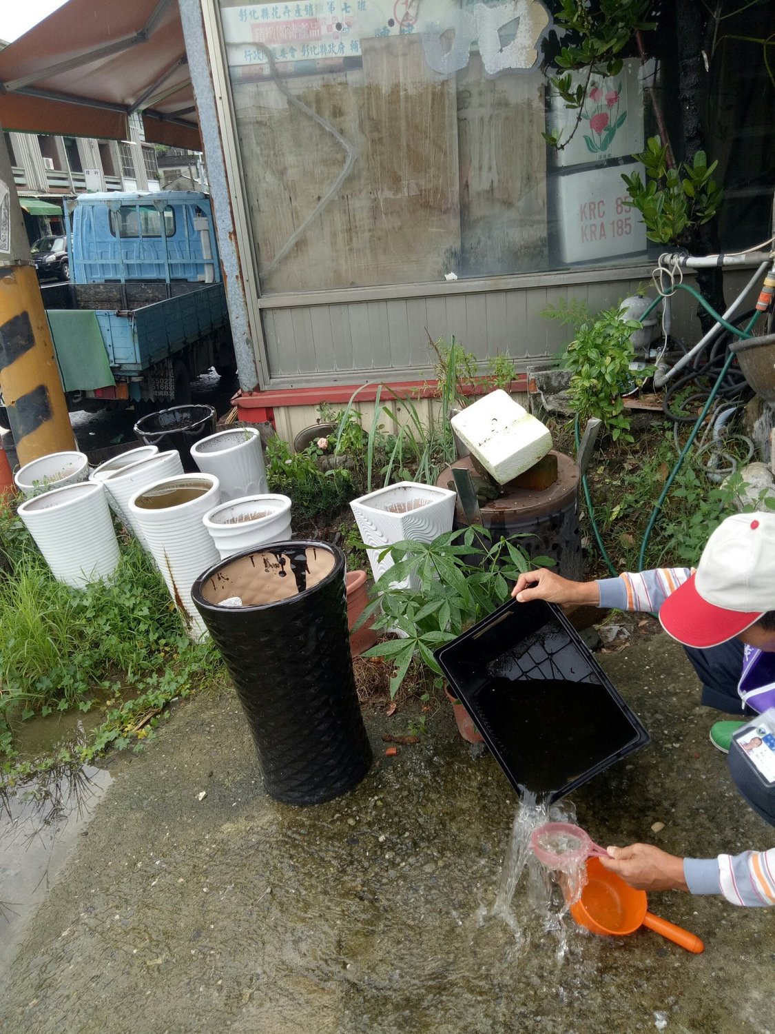 受到連日豪大雨影響，屏東縣衛生局提醒縣民，應避免積水容器孳生病媒蚊，居家環境清潔可利用漂白水含水稀釋進行消毒工作。 圖：翻攝自臉書屏東縣政府衛生局登革熱防疫粉絲團