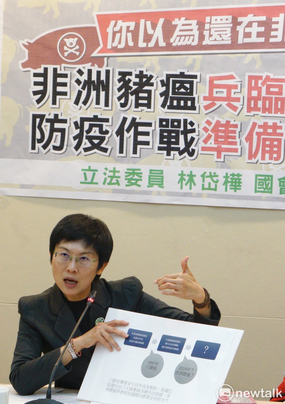 民進黨立委林岱樺舉行記者會。 圖：張良一/攝