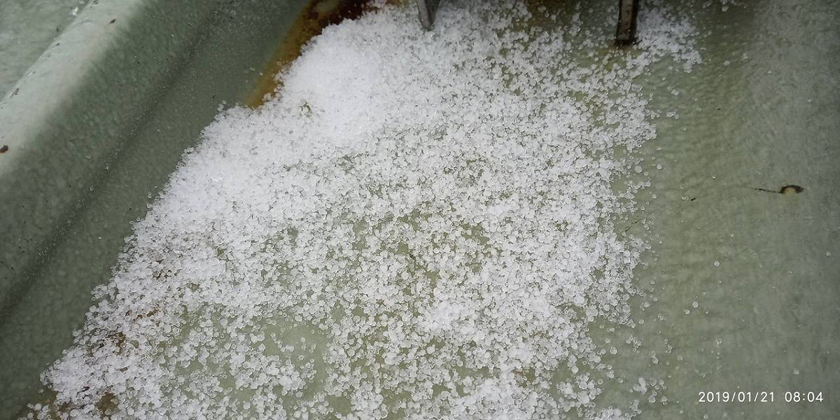 今（21）日上午8時2分，玉山降下0.1公分雪粒，時間持續3分鐘左右。 圖：中央氣象局/提供