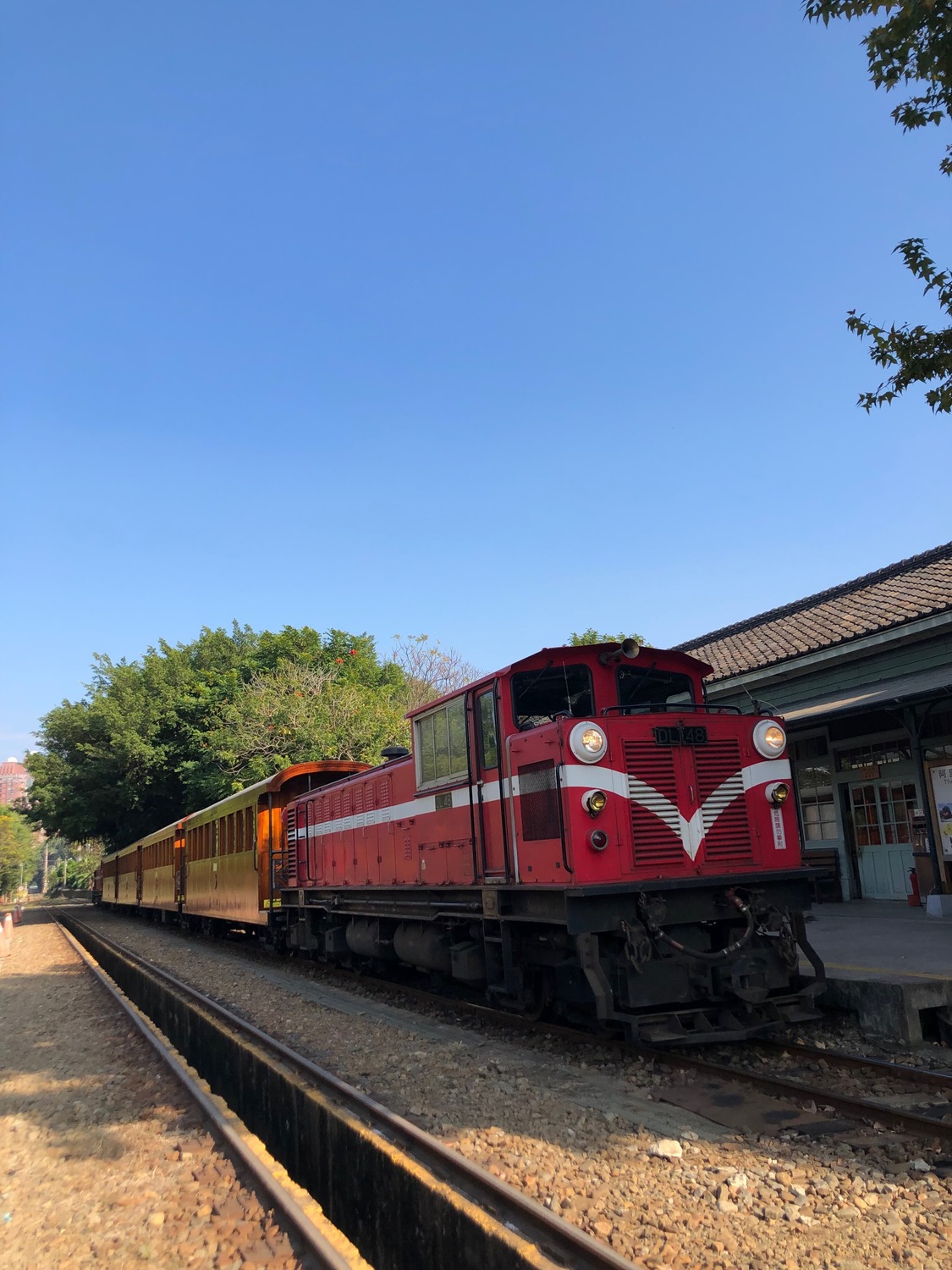 柴油檜木列車 圖：阿里山林業鐵路及文化資產管理處/提供