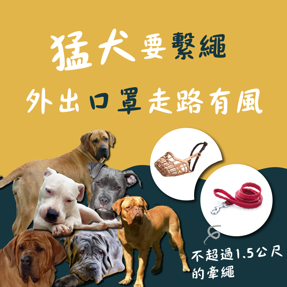 農委會呼籲，若民眾家裡有養猛犬，外出務必要繫繩，且要帶透氣口罩。 圖：行政院農業委員會/提供
