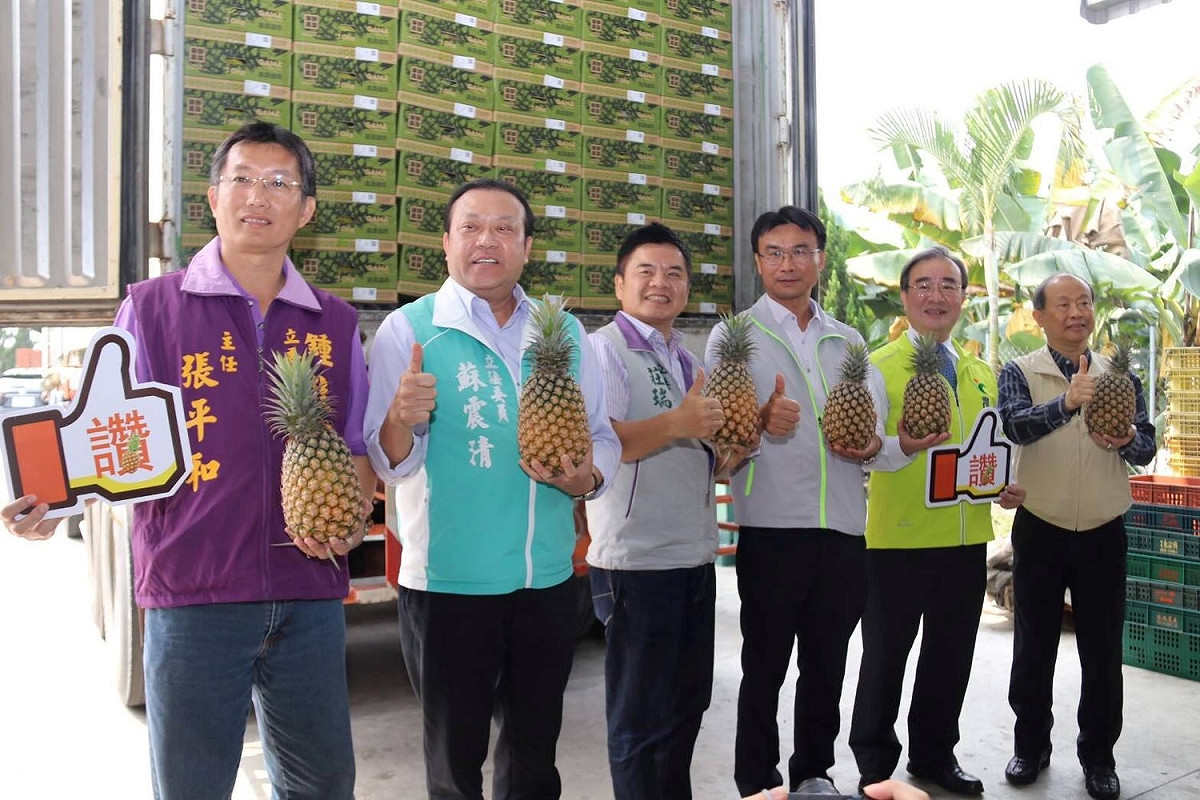台灣金鑽（台農17號）鳳梨香氣濃郁、甜美多汁，深受過內外市場的喜愛，近3年外銷更為各項果品之首。 圖：行政院農業委員會/提供