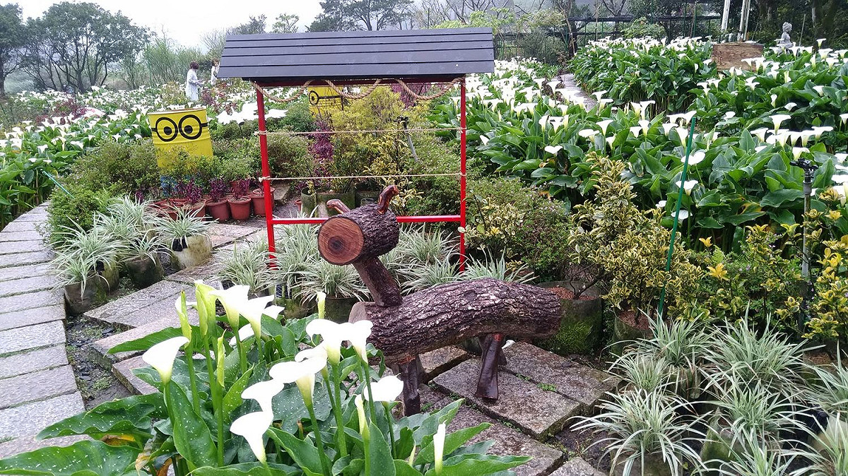 可愛的苗榜花園，有海芋以及可愛的木馬造景。 圖：台北市政府產業發展局/提供