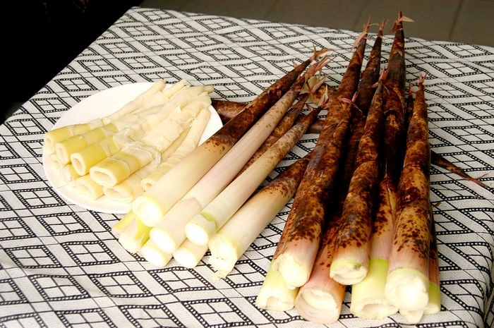 新鮮美味的桂竹筍，享用食物的原形而且高纖低熱量、營養價值高 圖： 行政院農業委員會農糧署北區分署/提供