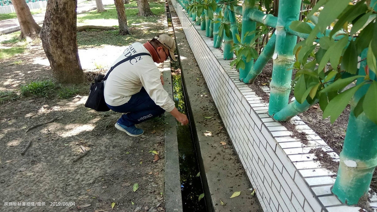疾管署呼籲，國內本土登革熱疫情雖已趨緩，惟目前氣溫仍有利病媒蚊生長，且近期持續有境外移入登革熱及屈公病個案出現，請民眾不可掉以輕心，應定期清除戶內外孳生源 圖：衛福部疾病管制署/提供（資料照片）