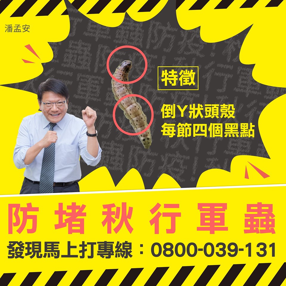 有發現害蟲，可立即進行通報並上傳照片、影像，以利快速鑑定待確定防檢局確定案例成立後採取緊急防治措施 圖：取自潘孟安粉絲專頁