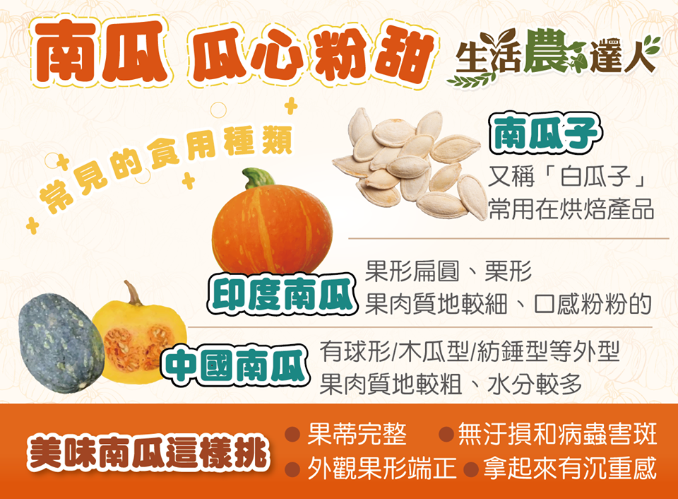 農委會建議民眾在選購食用南瓜時，以外觀果形端正、果蒂完整，無污損及病蟲害斑，且拿起來有沈重感為主 圖：農委會/提供
