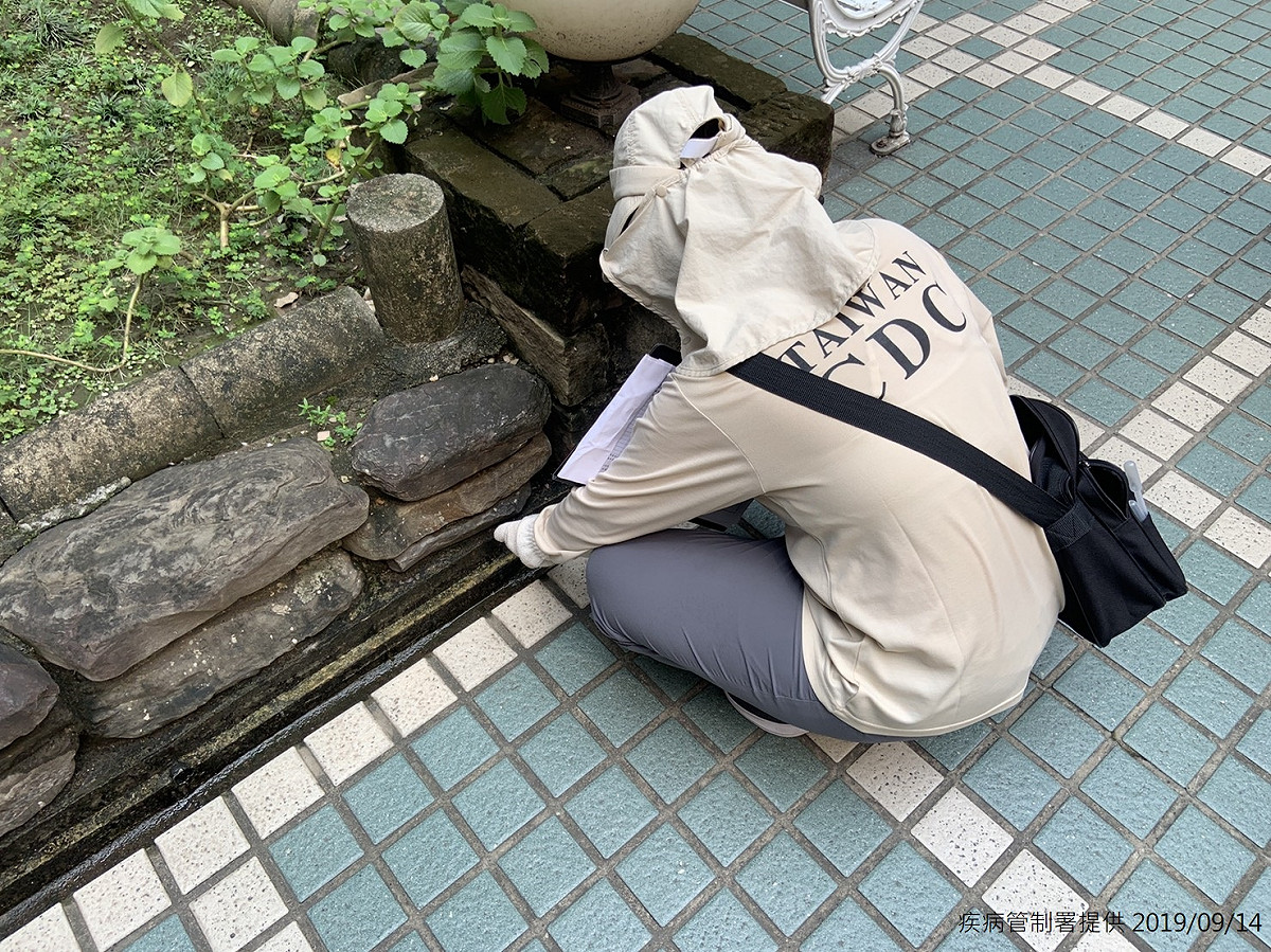 疾管署提醒民眾，應留意住家環境是否有潛在孳生源，澈底執行巡倒清刷，避免病媒蚊孳生 圖：疾管署/提供