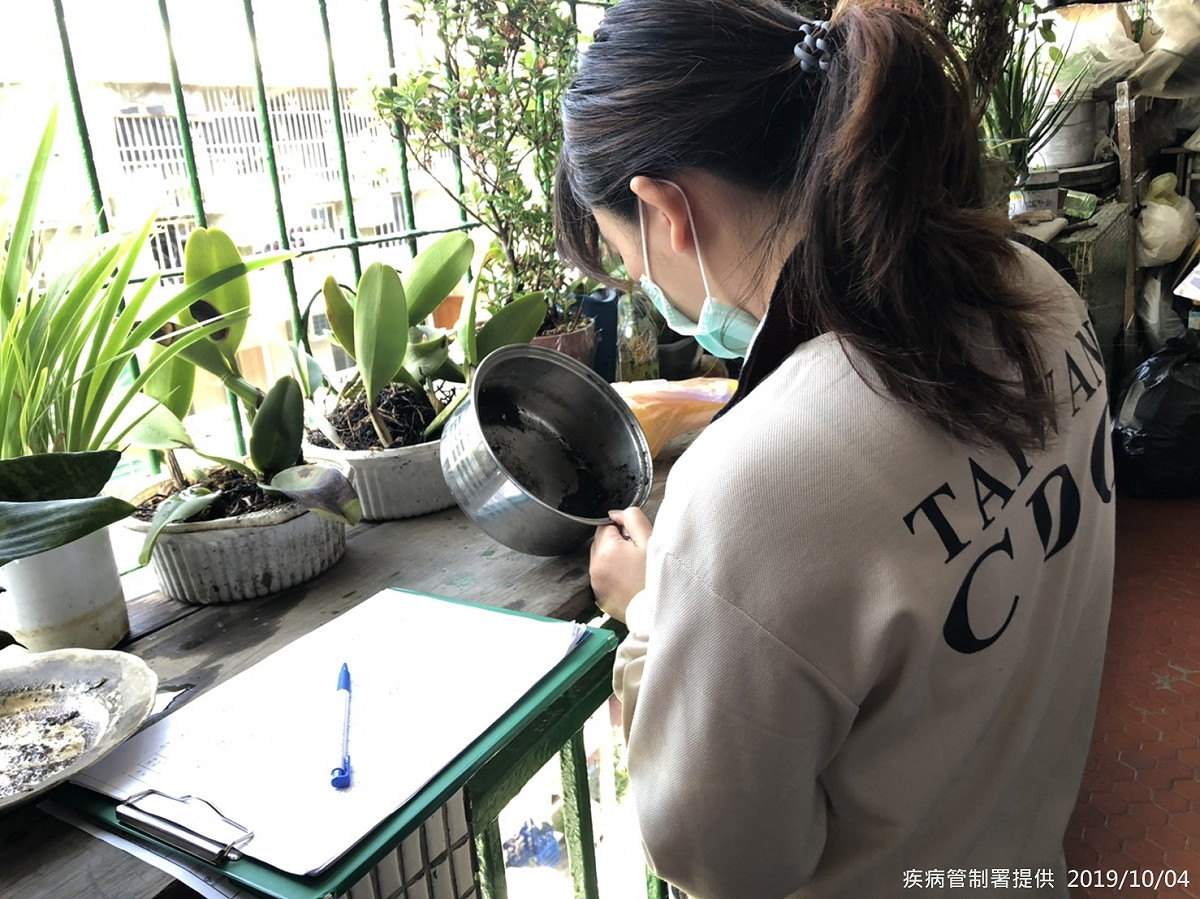 疾管署再次呼籲，目前仍為病媒蚊活躍期，民眾除了應做好防蚊措施，也應持續落實巡、倒、清、刷，避免讓積水成為孑孓生長的溫床 圖：疾管署/提供