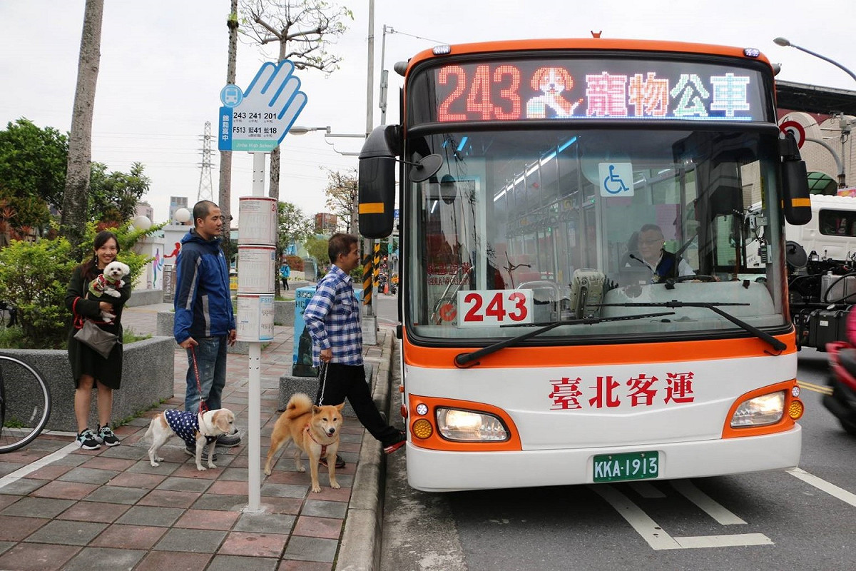 新北市交通局今（7）日表示，將於10月10日連假首日開出7條路線、各3班次的假日寵物公車 圖：新北市交通局/提供
