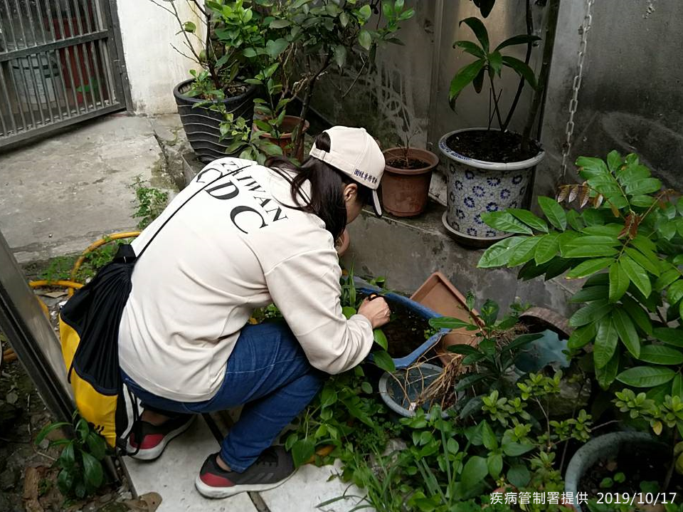 疾管署再次呼籲，近日北部地區受東北風影響降雨機會增加，請民眾應加強落實雨後環境巡視與積水容器清理，避免孳生病媒蚊 圖：疾管署／提供