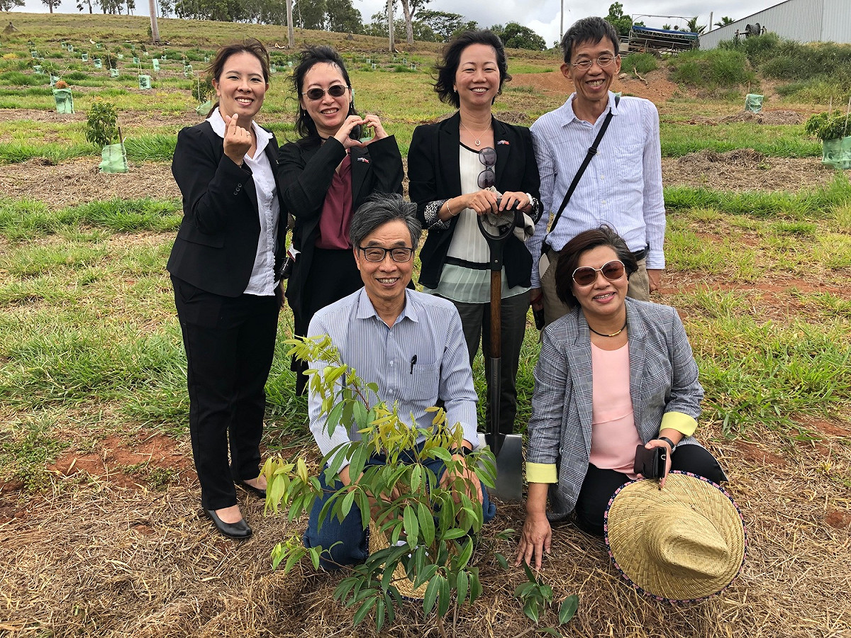 農委會與澳洲農業部及昆士蘭州農漁業廳合作，共同推動台灣荔枝於南半球反季節生產計畫 圖：農委會/提供