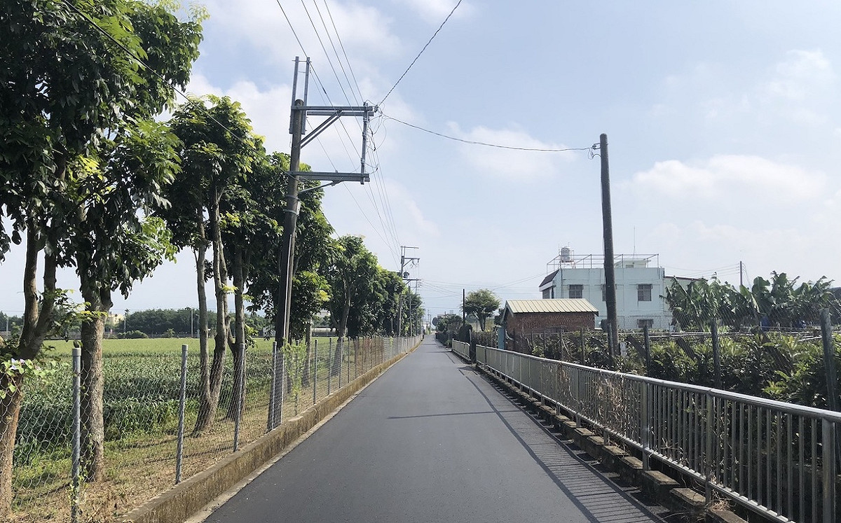 賞花更好行！新社花海周邊4公里道路燙平