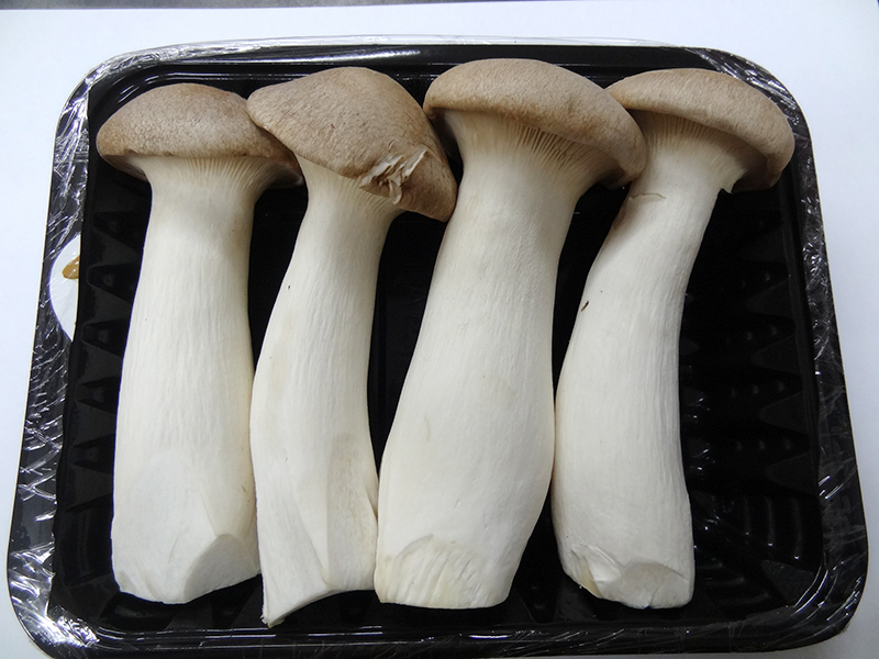 杏鮑菇的菌肉肥厚，菌柄結實呈乳白色，而且質地細膩脆嫩，吃起來的口感就像是鮑魚 圖：農委會農試所/提供