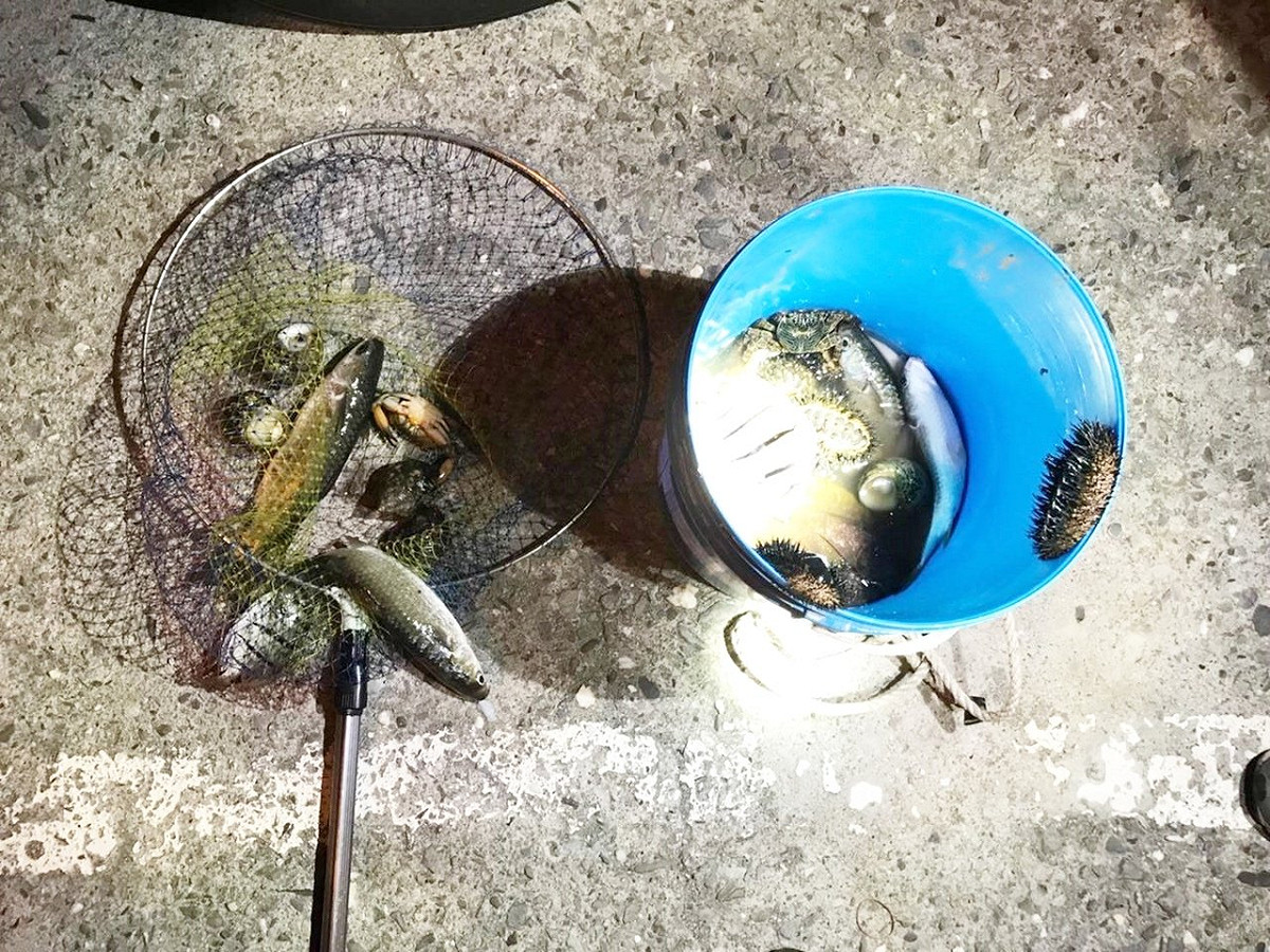 海巡署東部分署第一三岸巡隊昨（23）日晚間23時接獲民眾通報富山漁業資源保育區內有疑似違規採捕 圖：海巡署東部分署/提供