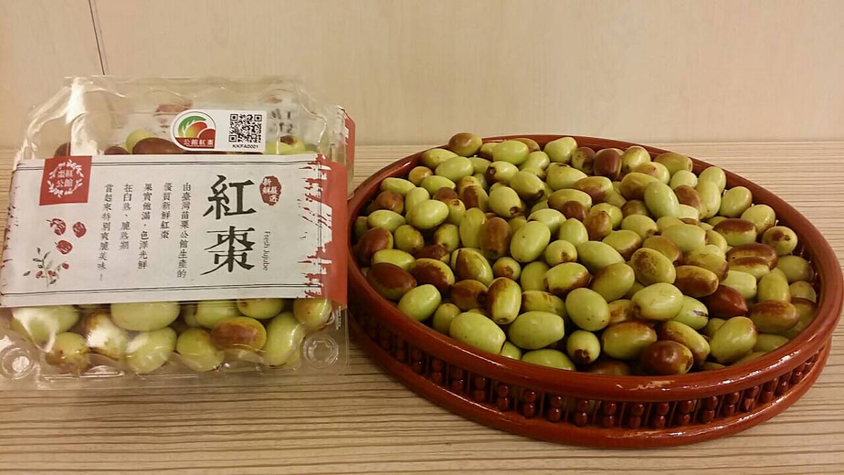 棗紅色皺縮的紅棗乾是藥膳常用的材料，具有溫補及甘味調和的作用，但一般民眾對新鮮紅棗卻不熟悉。 圖：農糧署/提供