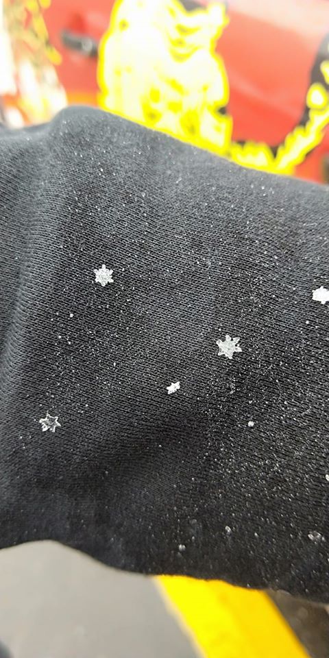 有民眾在合歡山小風口33－35K拍攝到冰霰與雨水一同落下，看到冰霰散落在頭髮及衣服上，大呼「真的下雪了」 圖：網友古禮榮/授權提供