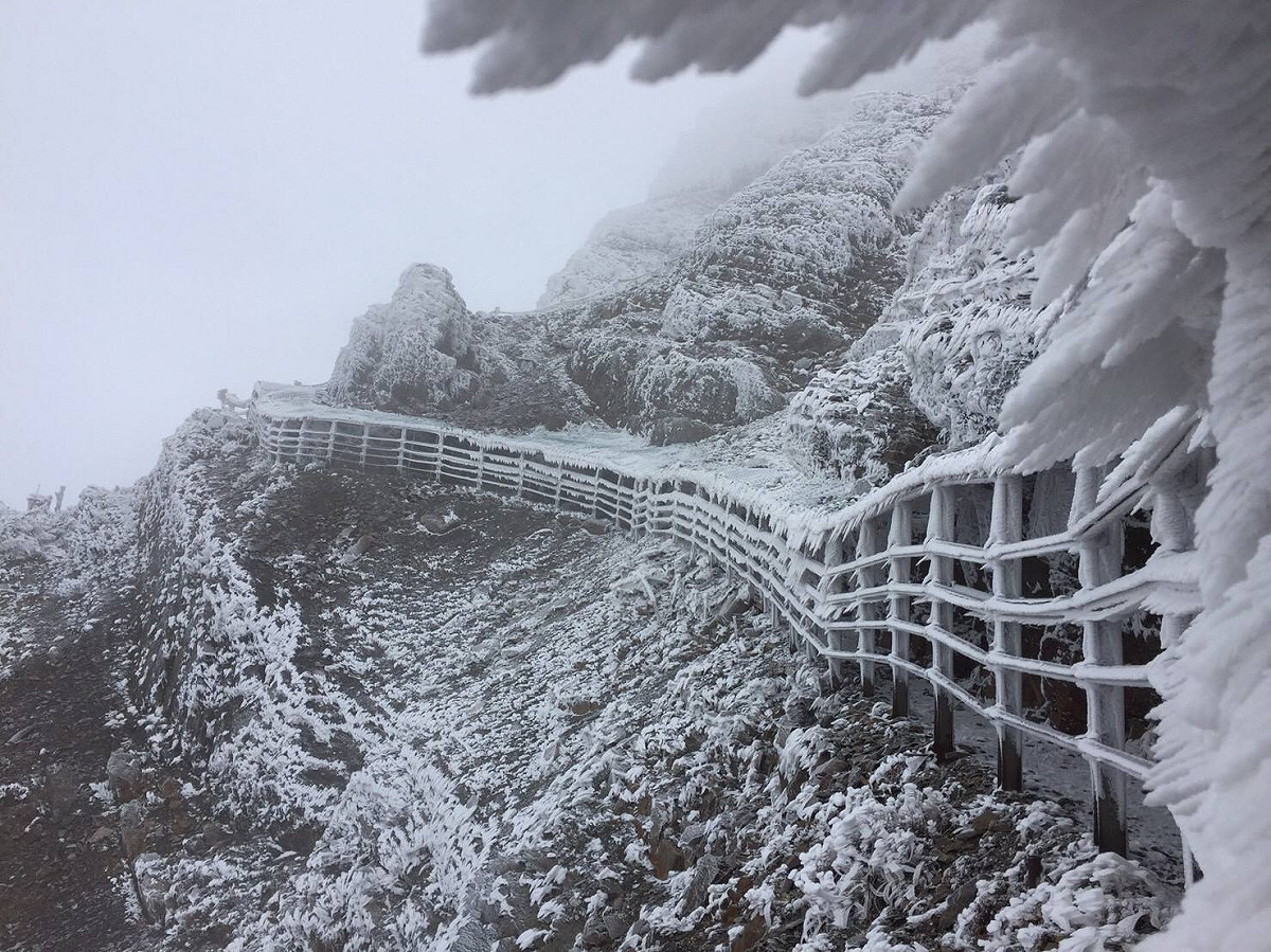 玉山為台灣第一高峰，圖為玉山的霧淞景觀。 圖：翻攝自玉山國家公園臉書