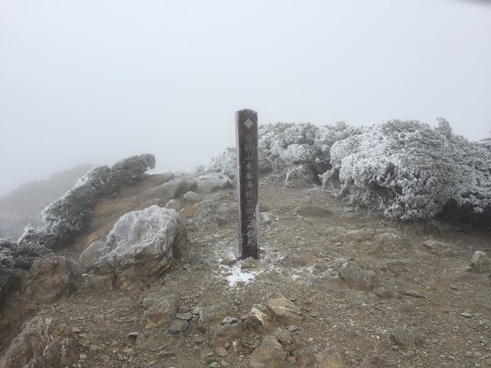 海拔3421公尺的合歡東峰，低溫及水氣讓箭竹批上一層白色的霧淞。 圖：太魯閣國家公園/提供