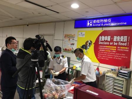 防檢局表示，從未於輸入植物產品中發現沙漠飛蝗，也會持續把關避免入侵，確實執行植物檢疫防堵於境外 圖：翻攝自行政院中央災害防救會報