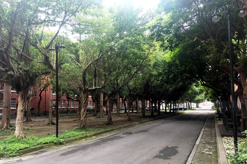 台灣師範大學今（9）日指出，於8日接獲疾管署通知，有高度疑似確診個案 圖：取自台師大粉絲專頁