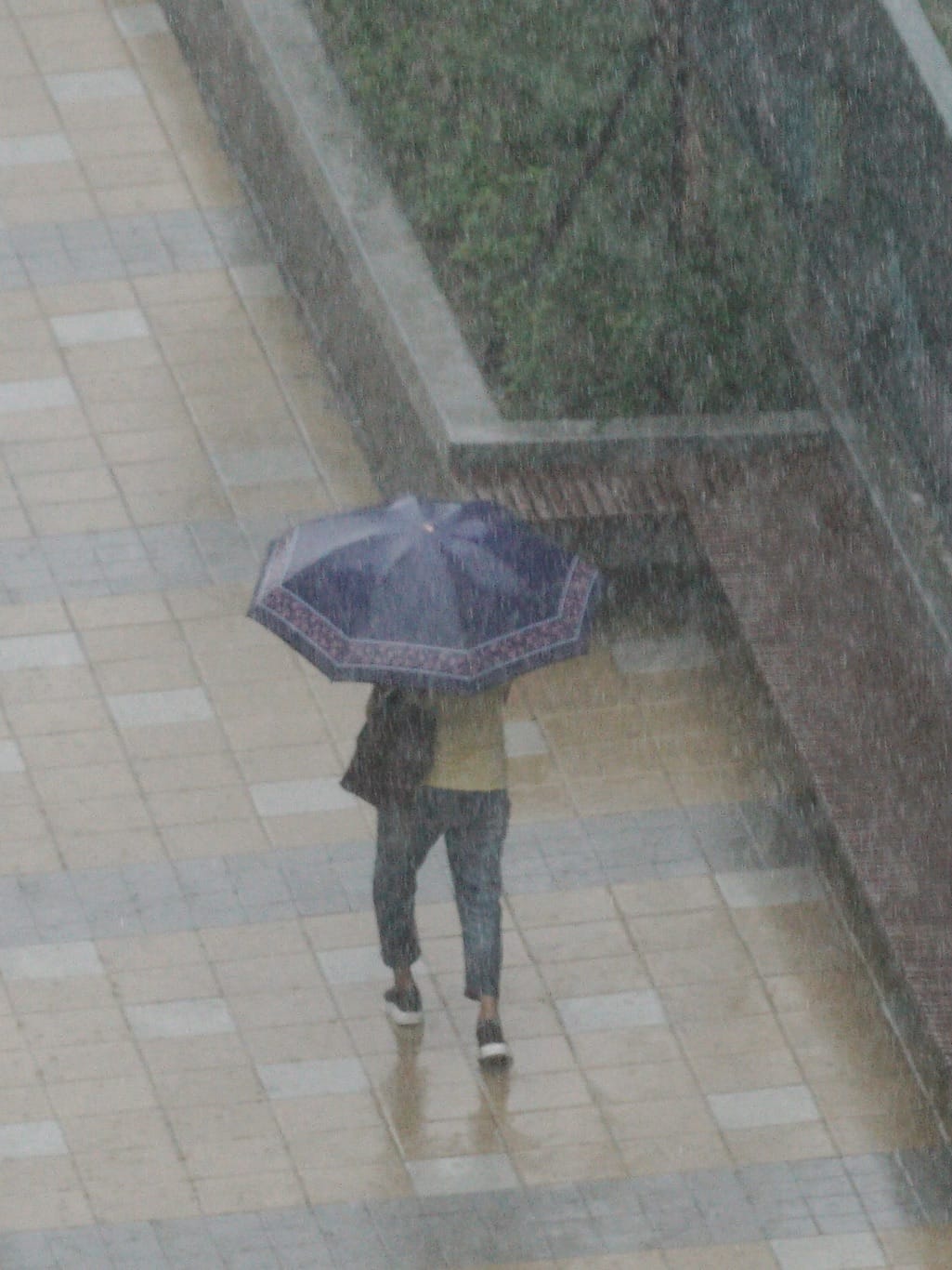 今（27）日受鋒面影響，北北基等16縣市發布豪、大雨特報，其中台南市、高雄市達豪雨等級，屏東縣更達大豪雨等級 圖：張良一/攝